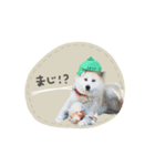 ♡SHIORI様2（個別スタンプ：8）
