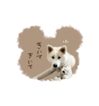♡SHIORI様2（個別スタンプ：9）