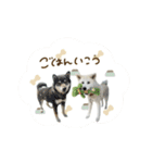 ♡SHIORI様2（個別スタンプ：11）