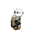花スタンプ4（個別スタンプ：4）