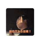 おいらのともだち！！！（個別スタンプ：2）