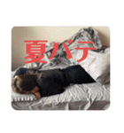 おいらのともだち！！！（個別スタンプ：30）