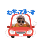 『メイちゃん』2（個別スタンプ：16）