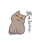 人は猫の奴隷（個別スタンプ：18）