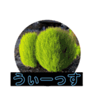 ステイ竜一（個別スタンプ：15）
