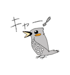 野鳥だいすきスタンプ♡（個別スタンプ：7）