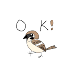 野鳥だいすきスタンプ♡（個別スタンプ：10）