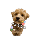 うにくん〜まんちぇの日常〜（個別スタンプ：6）