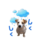 ジャックのラスさんスタンプその2（個別スタンプ：1）