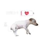 ジャックのラスさんスタンプその2（個別スタンプ：2）