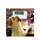 ジャックのラスさんスタンプその2（個別スタンプ：15）