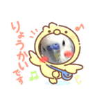 セキセイインコのはぴちゃん（個別スタンプ：3）