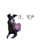 アビーとジル（個別スタンプ：9）