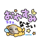 abokado③（個別スタンプ：14）