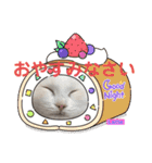 abokado③（個別スタンプ：17）