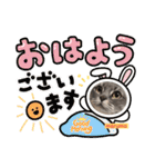 abokado③（個別スタンプ：20）