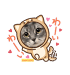 abokado③（個別スタンプ：28）