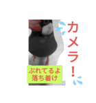 助け合い桜文鳥（個別スタンプ：3）