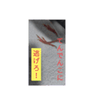 助け合い桜文鳥（個別スタンプ：4）