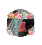助け合い桜文鳥（個別スタンプ：10）