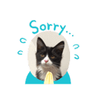 ハチワレねこさん（オレオ）（個別スタンプ：2）
