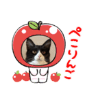 ハチワレねこさん（オレオ）（個別スタンプ：8）