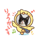 ハチワレねこさん（オレオ）（個別スタンプ：10）
