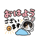 ハチワレねこさん（オレオ）（個別スタンプ：17）