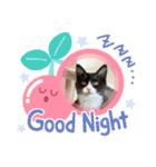 ハチワレねこさん（オレオ）（個別スタンプ：18）