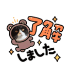 ハチワレねこさん（オレオ）（個別スタンプ：20）