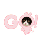 ハチワレねこさん（オレオ）（個別スタンプ：30）