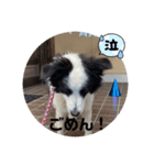 ケロレオ2022.5.1（個別スタンプ：3）