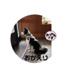 ケロレオ2022.5.1（個別スタンプ：7）