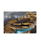 へびび の スタンプ（個別スタンプ：3）