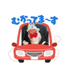そっちゃんすたんぷ〜（個別スタンプ：6）