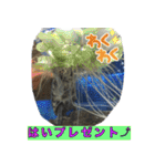 ミシシッピニオイガメまる子の一日（個別スタンプ：24）