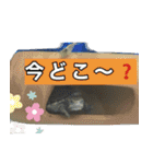 ミシシッピニオイガメまる子の一日（個別スタンプ：32）