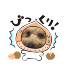 いちごワンスタンプ2（個別スタンプ：1）