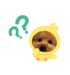 いちごワンスタンプ2（個別スタンプ：3）