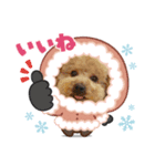 いちごワンスタンプ2（個別スタンプ：4）