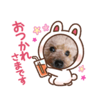 いちごワンスタンプ2（個別スタンプ：5）