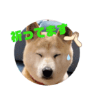 みんなと一緒20（個別スタンプ：6）
