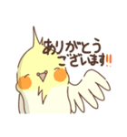 オカメインコハッピーちゃんと仲間たち（個別スタンプ：1）