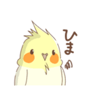 オカメインコハッピーちゃんと仲間たち（個別スタンプ：2）