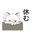 ぽけ猫☆無気力編にゃ（個別スタンプ：10）