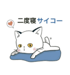 ぽけ猫☆無気力編にゃ（個別スタンプ：12）