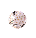 不可言語化 きもち（個別スタンプ：8）