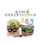 開運✨スピリチュアル✨多肉✨多肉植物✨愛（個別スタンプ：11）