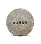 パワーストーンブレスレットスタンプ第1段（個別スタンプ：16）