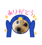 いちごワンだよ5（個別スタンプ：1）